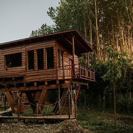 Bonita Cabana De Los Arboles En La Rioja , Durmiendo Entre Arboles Anguciana Екстериор снимка