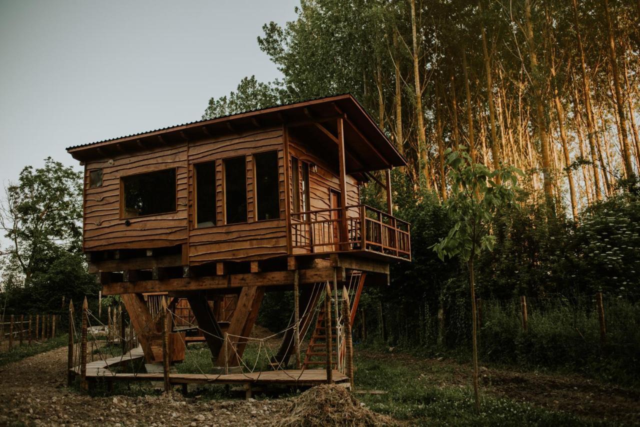 Bonita Cabana De Los Arboles En La Rioja , Durmiendo Entre Arboles Anguciana Екстериор снимка