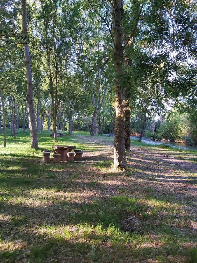 Bonita Cabana De Los Arboles En La Rioja , Durmiendo Entre Arboles Anguciana Екстериор снимка