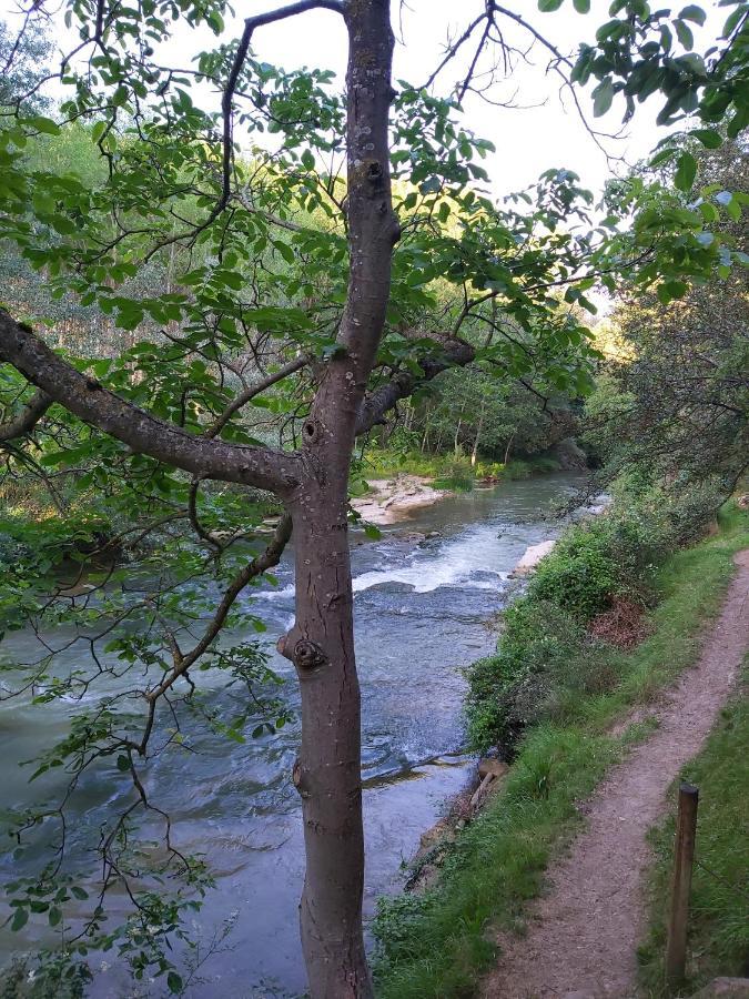 Bonita Cabana De Los Arboles En La Rioja , Durmiendo Entre Arboles Anguciana Екстериор снимка